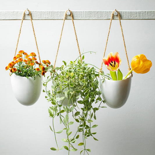 Ceramic Wall-mounted Flower Pots Perfect for small plants and succulents